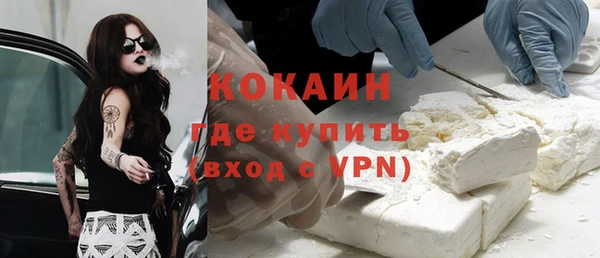МДПВ Каменка