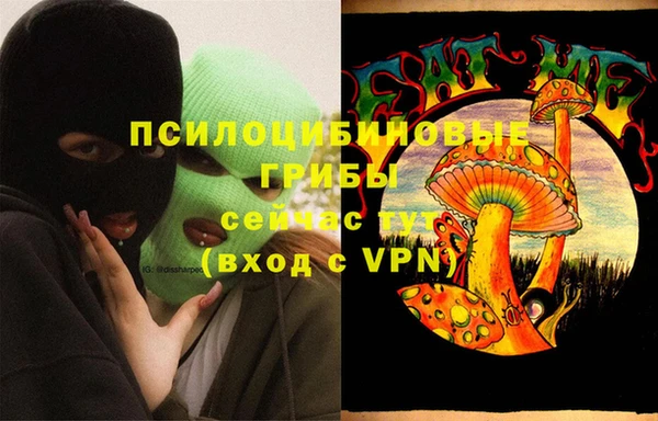 прущая мука Каменногорск