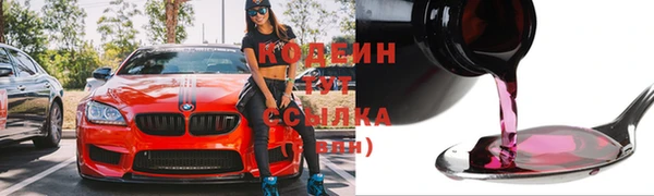 МДПВ Каменка