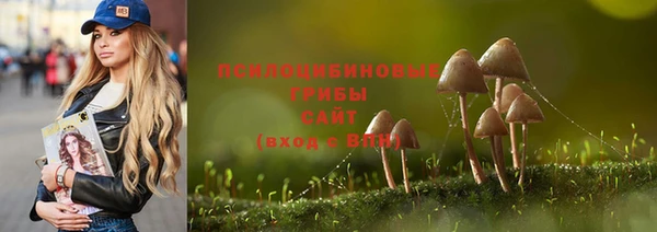 прущая мука Каменногорск