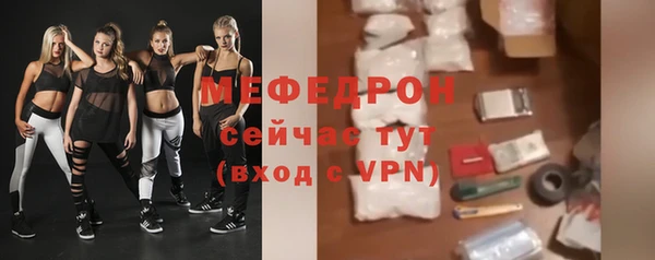 МДПВ Каменка
