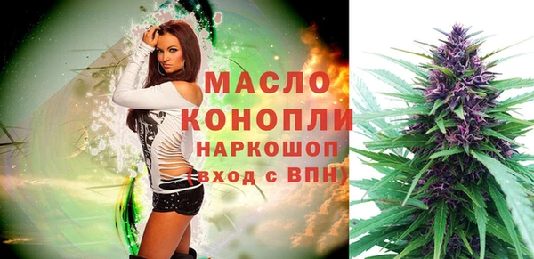 МДПВ Каменка