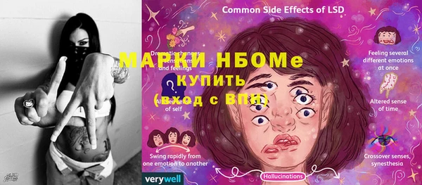 МДПВ Каменка