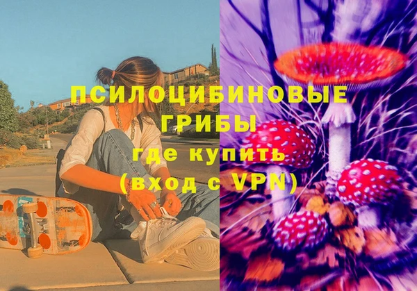 гидра Красноперекопск