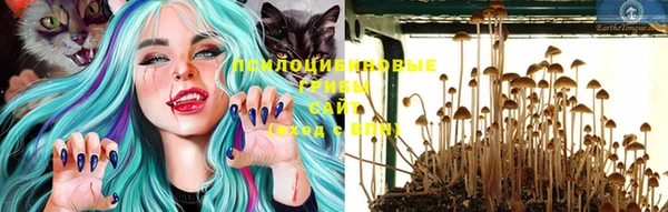 прущая мука Краснослободск