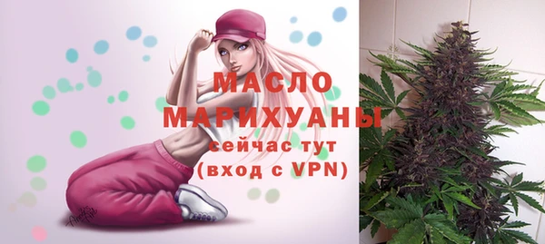 МДПВ Каменка