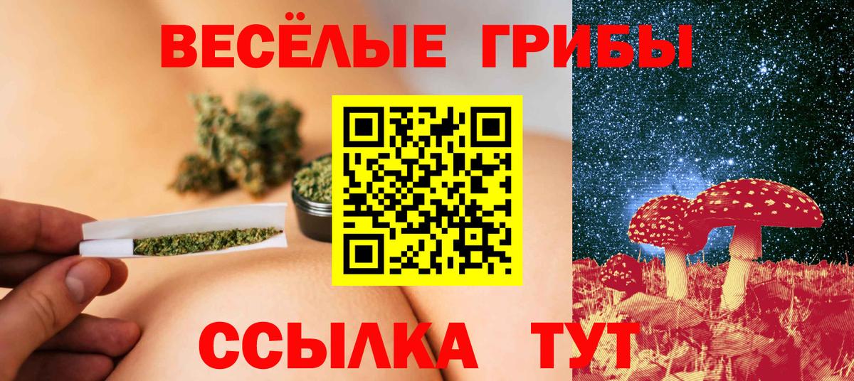 Ессентуки  Галлюциногенные грибы Psilocybine cubensis  Вход с VPN 