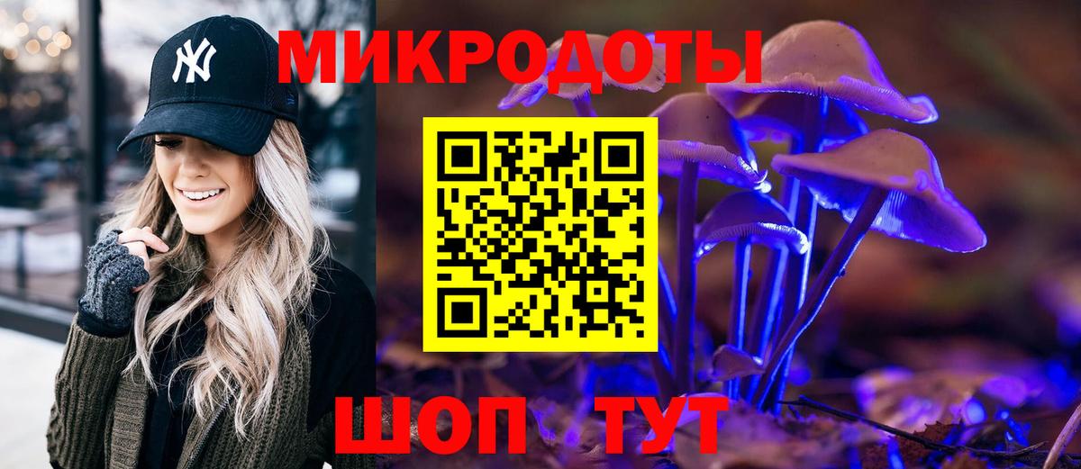 где купить наркоту  Ессентуки  Галлюциногенные грибы MAGIC MUSHROOMS 